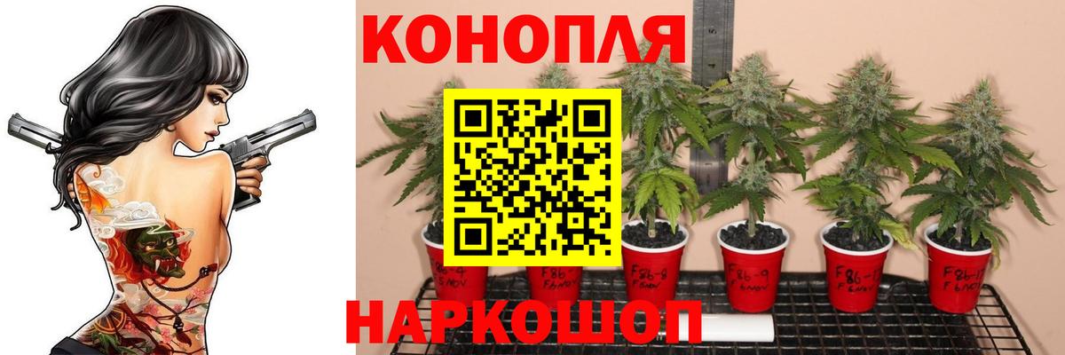 Шишки марихуана Amnesia Новошахтинск